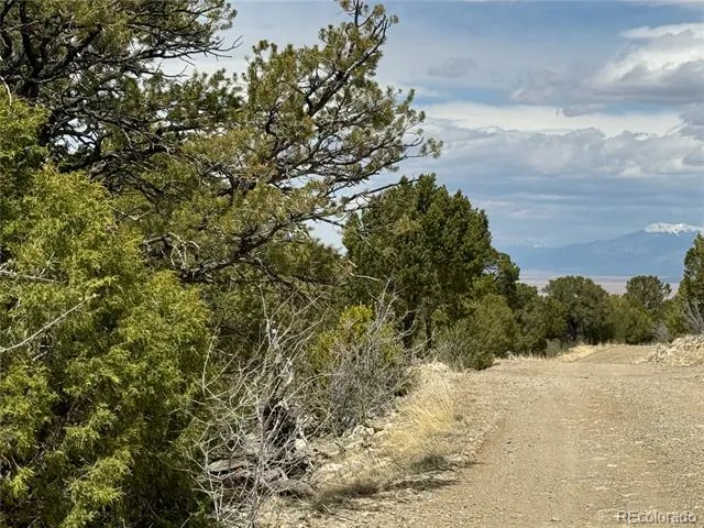 338 Cedar Ridge Road Mosca, CO 81146