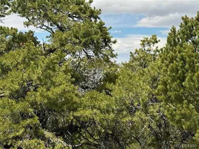338 Cedar Ridge Road Mosca, CO 81146