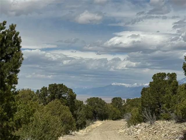 338 Cedar Ridge Road Mosca, CO 81146
