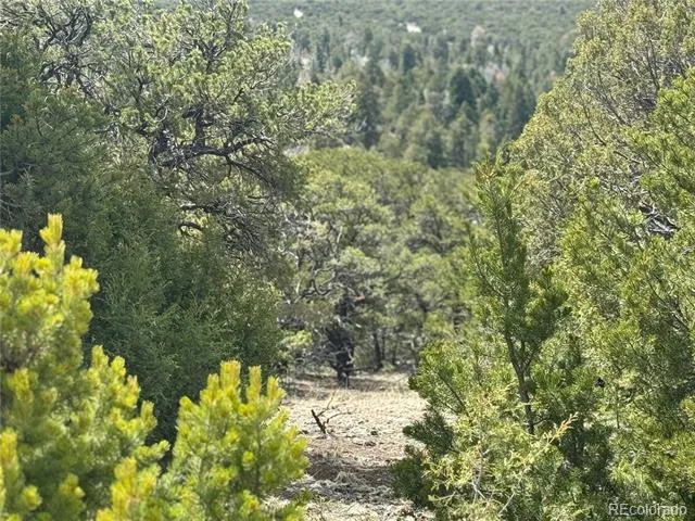 338 Cedar Ridge Road Mosca, CO 81146