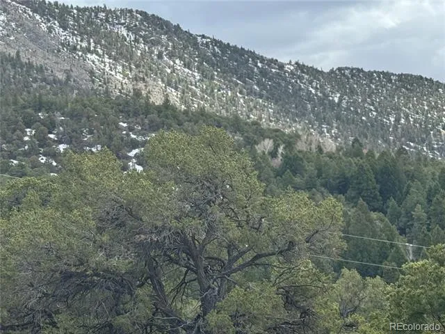 338 Cedar Ridge Road Mosca, CO 81146