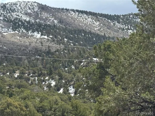 338 Cedar Ridge Road Mosca, CO 81146