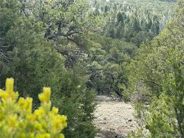 338 Cedar Ridge Road Mosca, CO 81146