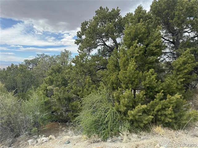 338 Cedar Ridge Road Mosca, CO 81146