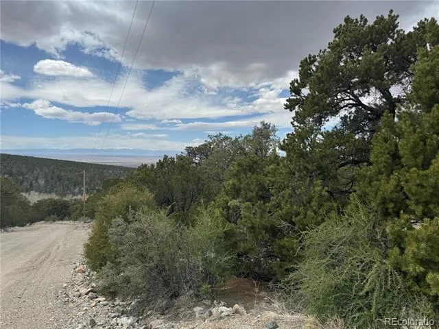 338 Cedar Ridge Road Mosca, CO 81146
