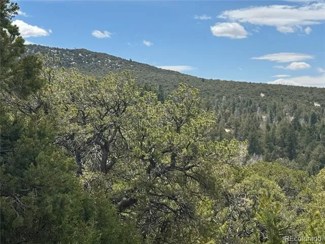 338 Cedar Ridge Road Mosca, CO 81146