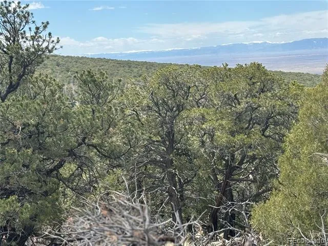 338 Cedar Ridge Road Mosca, CO 81146