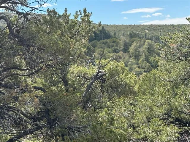 338 Cedar Ridge Road Mosca, CO 81146