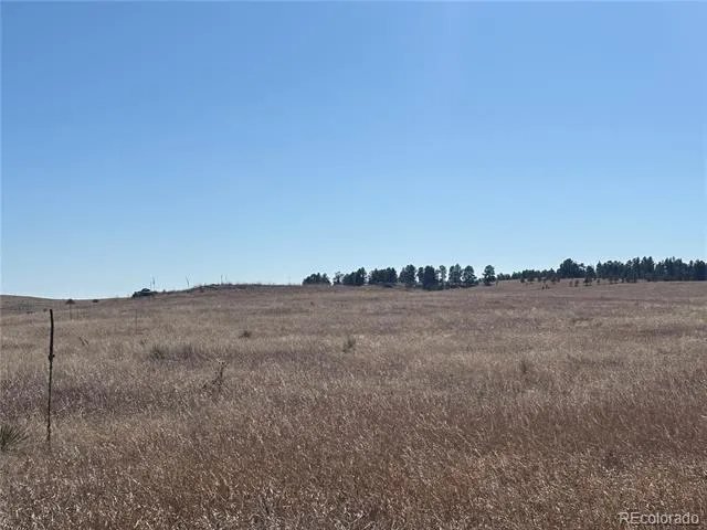 Lot 4 County Road 27 Elizabeth, CO 80107