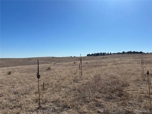 Lot 4 County Road 27 Elizabeth, CO 80107