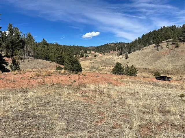 323 Gold King Drive Cripple Creek, CO 80813