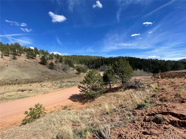 323 Gold King Drive Cripple Creek, CO 80813