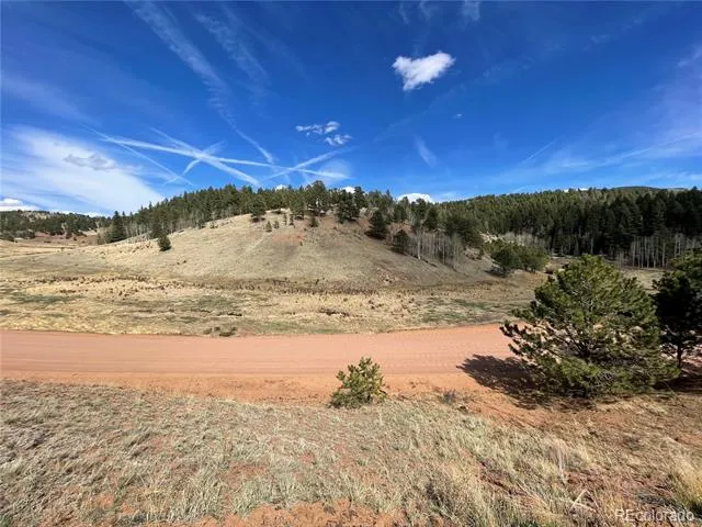 323 Gold King Drive Cripple Creek, CO 80813