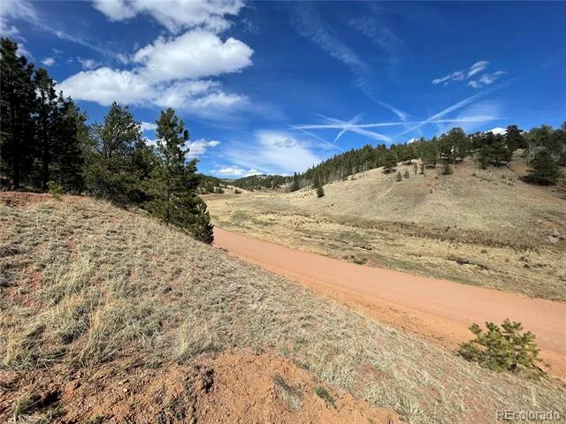 323 Gold King Drive Cripple Creek, CO 80813
