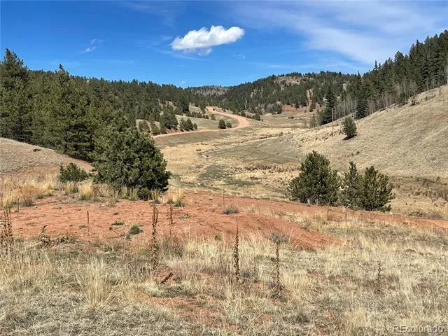 323 Gold King Drive Cripple Creek, CO 80813