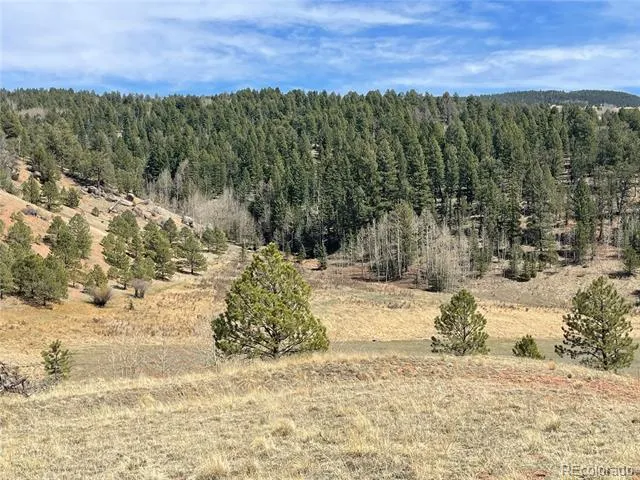 323 Gold King Drive Cripple Creek, CO 80813
