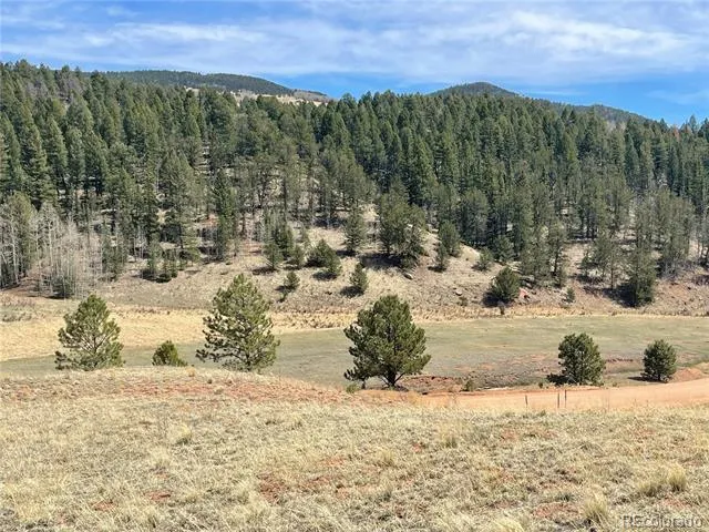 323 Gold King Drive Cripple Creek, CO 80813