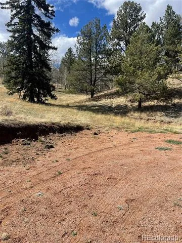 323 Gold King Drive Cripple Creek, CO 80813