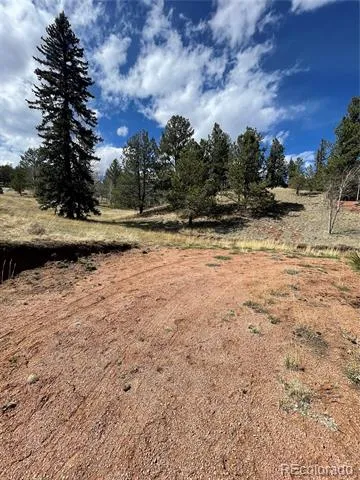 323 Gold King Drive Cripple Creek, CO 80813