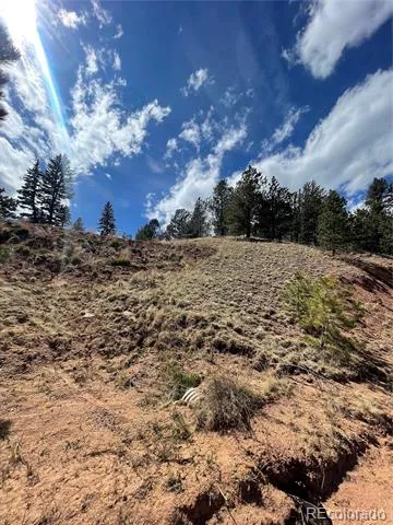 323 Gold King Drive Cripple Creek, CO 80813