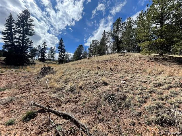 323 Gold King Drive Cripple Creek, CO 80813