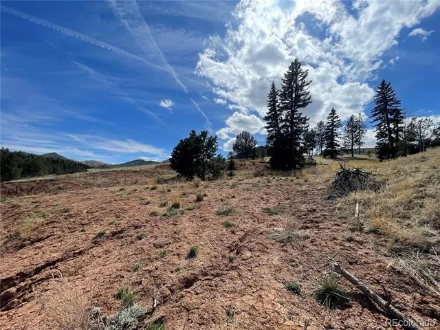 323 Gold King Drive Cripple Creek, CO 80813