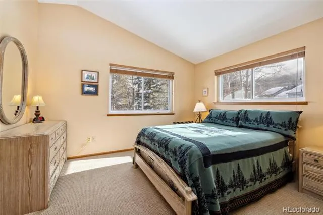 723 Hunters Circle Frisco, CO 80443