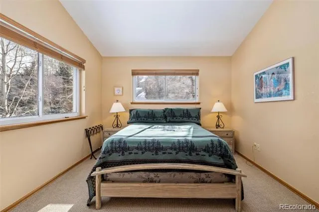 723 Hunters Circle Frisco, CO 80443