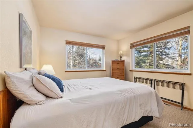 723 Hunters Circle Frisco, CO 80443