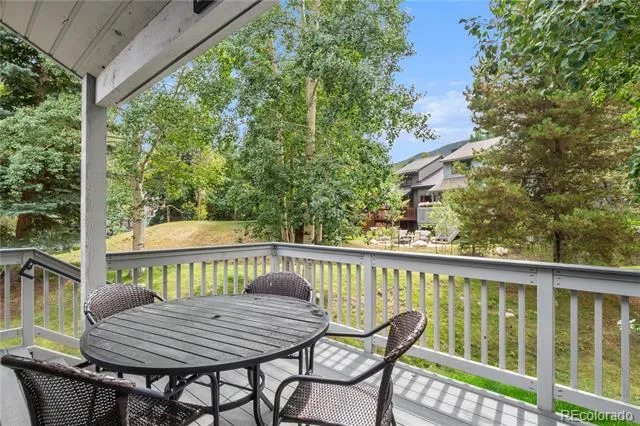 723 Hunters Circle Frisco, CO 80443