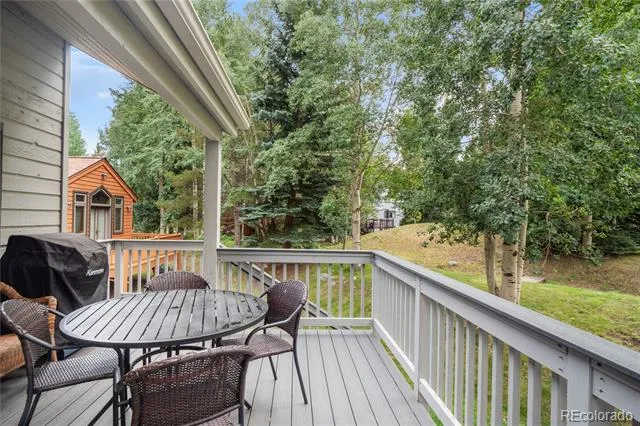 723 Hunters Circle Frisco, CO 80443