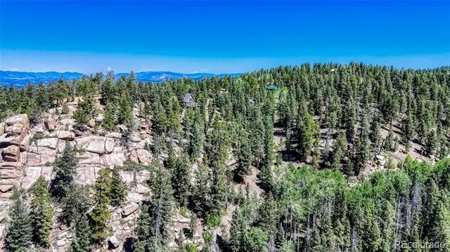 3454 Mountain Estates Road Florissant, CO 80816