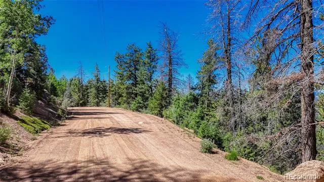 3454 Mountain Estates Road Florissant, CO 80816