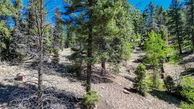 3454 Mountain Estates Road Florissant, CO 80816