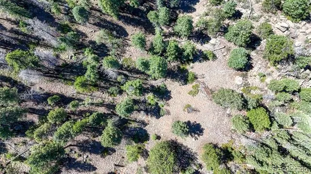 3454 Mountain Estates Road Florissant, CO 80816