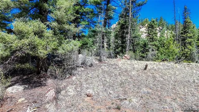 3454 Mountain Estates Road Florissant, CO 80816