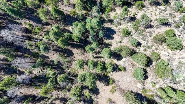 3454 Mountain Estates Road Florissant, CO 80816