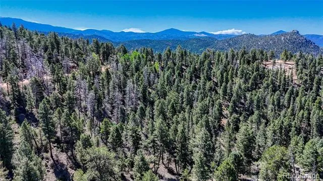 3454 Mountain Estates Road Florissant, CO 80816