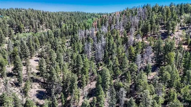 3454 Mountain Estates Road Florissant, CO 80816