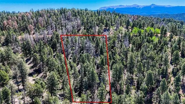 3454 Mountain Estates Road Florissant, CO 80816