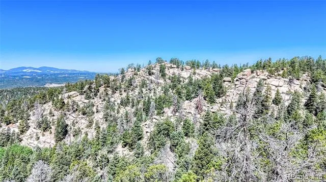 3454 Mountain Estates Road Florissant, CO 80816