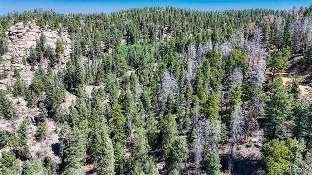 3454 Mountain Estates Road Florissant, CO 80816