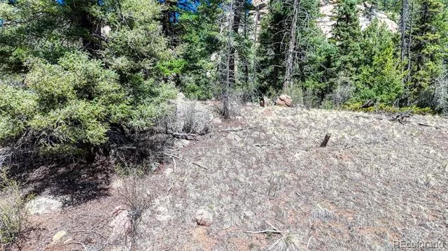 3454 Mountain Estates Road Florissant, CO 80816