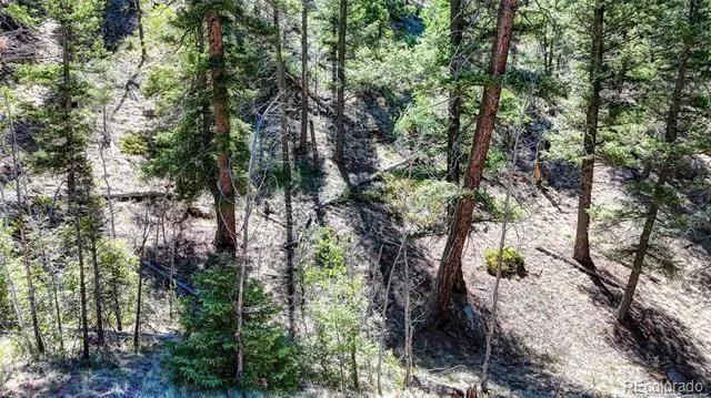 3454 Mountain Estates Road Florissant, CO 80816