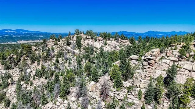 3454 Mountain Estates Road Florissant, CO 80816