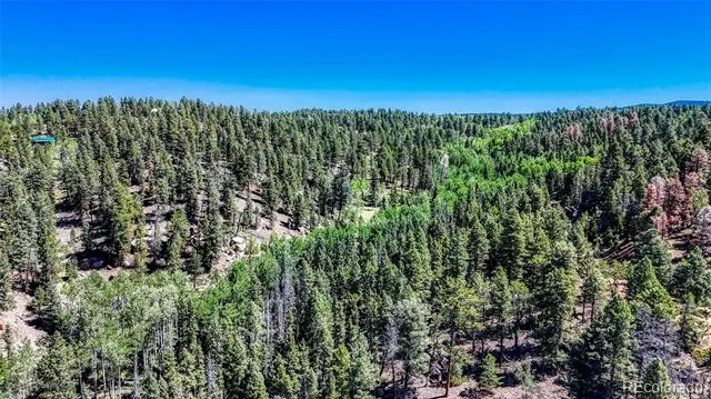 3454 Mountain Estates Road Florissant, CO 80816