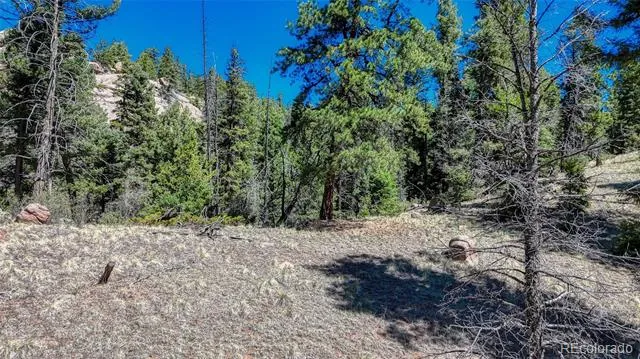 3454 Mountain Estates Road Florissant, CO 80816