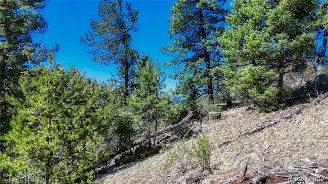 3454 Mountain Estates Road Florissant, CO 80816