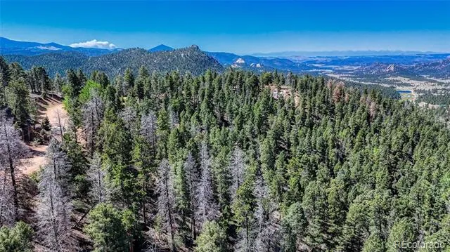 3454 Mountain Estates Road Florissant, CO 80816