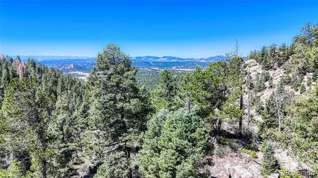 3454 Mountain Estates Road Florissant, CO 80816